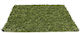 Synthetic Turf in Roll with 2m Width and 20mm Height (price per sq.m)