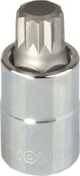 Proline Bit-Stecknuss mit Ribe-Bit und Antriebsvierkant 1/2'' Größe M10x100mm 1Stück