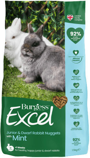 Burgess Χόρτα για Νεαρό Κουνέλι με Μέντα 3kg