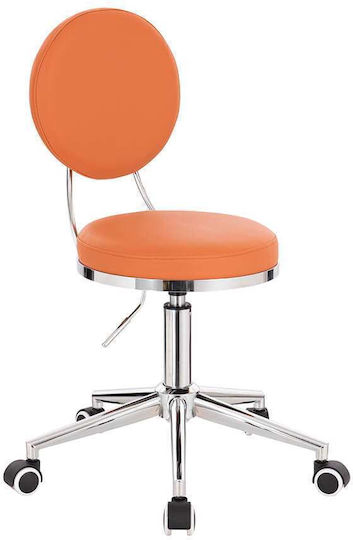 Salon Stools Scaun