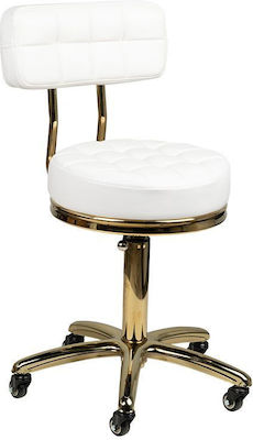 Salon Stools Scaun