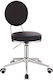 Salon Stools Scaun