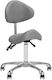Salon Stools Wheeled Stool with Backrest Gray