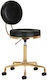 Salon Stools Wheeled Stool with Backrest Black