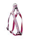 Adjustable Hamabul Dino Dino Ivo 25mm Geom Band Length 60-90 Cm