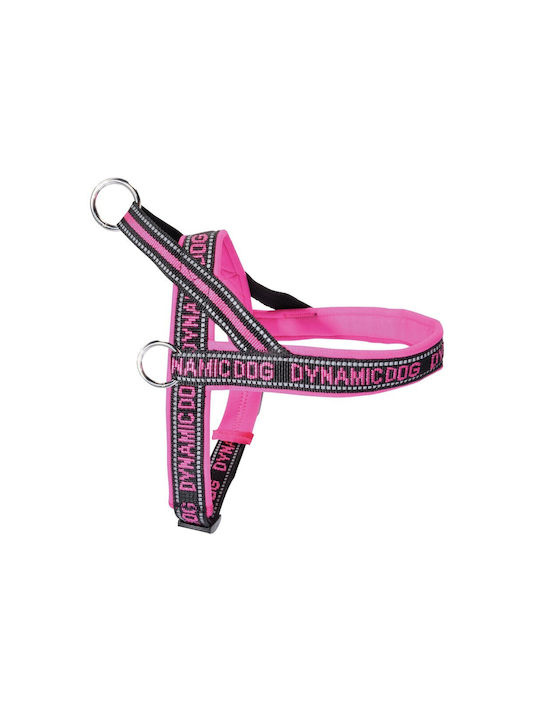 Camon Geschirr Neopren Dynamisch Fuxia 35cm