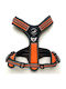 Harnașament pentru câini All Dogs 3x-sport Orange L