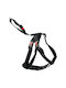 Flamingo Safety Harness Black 40-60cm