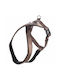 Ham de câine Flamingo Norwegian Harness Cross Abbi Taupe L 64-80cm 25mm