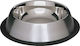 Dog Chicken Bowl Barry King Stainless Steel 0.25L Silver