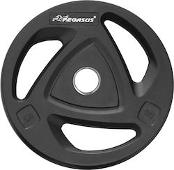 Pegasus Set of Plates Olympic Type Rubber 1 x 1...