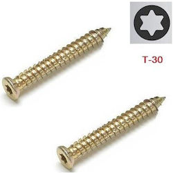 Şurub Autoperforant Bolţ De Ciment Torx Cu Diametru M7.5 Şi Lungime 52mm
