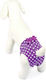 Camon Βρακάκι Purple Polkadots 2