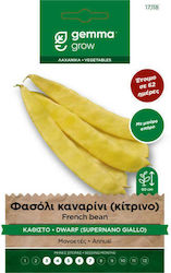 Pachet de semințe Gemma Canary Bean-Yellow Bush 10g Phaseolus Vulgaris 'supernano Giallo'