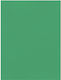 Favini Karton 70x100cm 220gr Grün Nr. 16