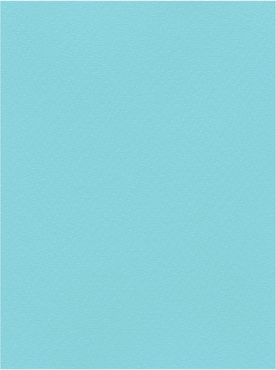 Favini Karton 70x100cm 220g Blau Nr. 20