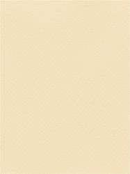 Favini Cardboard 50x70cm 220gr Cream No04