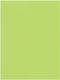 Carton Favini 70x100cm 220gr Pistachio No15