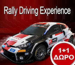 60 de minute de condus simulator de Rally Car