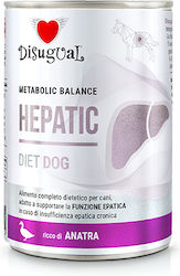 Disugual Wet Food Dog Diet