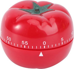 Countdown Analog Kitchen Timer