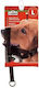 Camon Training Muzzle Size L
