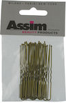 Assim 60pcs Hair Pin