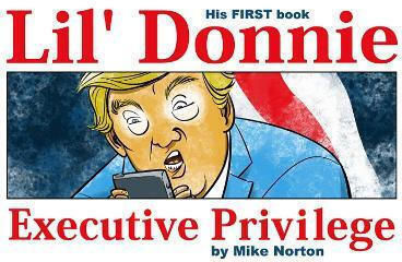 Lil Donnie Volume 1 Executive Privilege Mike Norton, Том. 1 Изпълнителна привилегия Майк Нортън Image Comics
