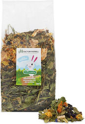 Factoryherbs Nagetierfutter für Erwachsene Hase 500g