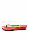 Women's Flat Sandals in Gold Color