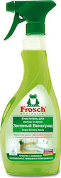 Frosch Gel de curățare Baie 1x500ml