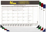 Next Plan 2025 Monatlicher Tischkalender 35x50cm