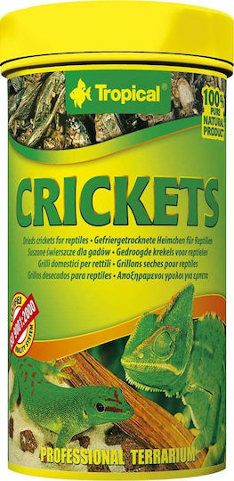 Tropical Τροφή για Τροπικά Ψάρια 100ml 10γρ.