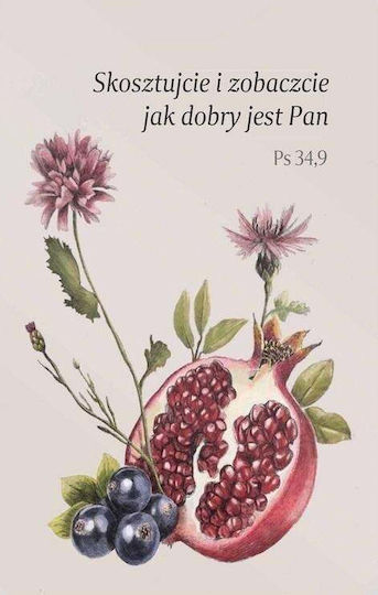 Szaron Taste And See Магнитни сетове 5.5x8бр 1pcs
