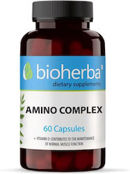 Bioherba 60 Capsule Bioherba 60 Capsule