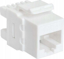 Tkh Rj45 Keystone Module Cat.6 Utp Ccas-k6-utp