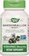 Nature's Way Marshmallow Root 455мг 100 вегетариански капсули