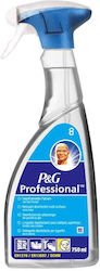 Mr. Proper Sprühreiniger 1x750ml