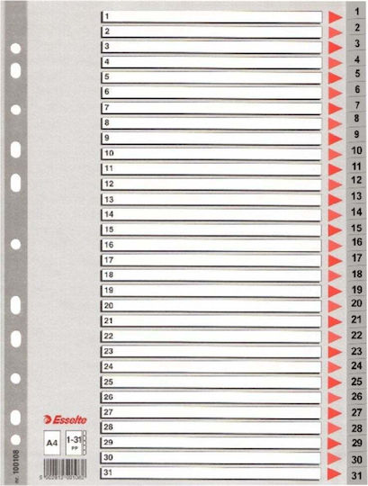 Esselte Plastik Binder-Taschen Für Dokumente A4 Mit Löcher Und Verstärkung
