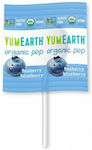 YumEarth Lollipops with Flavor Blueberry Sugar Free