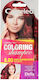 Delia Cosmetics Cameleo Hair Dye No Ammonia 6.6...