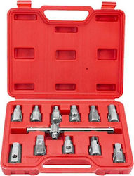 Silver Star 10483 Καστάνια με Καρυδάκια 12τμχ Silver Star 10483 Καστάνια με Καρυδάκια 12τμχ