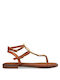 Envie Shoes Women's Flat Sandals in Brown Color