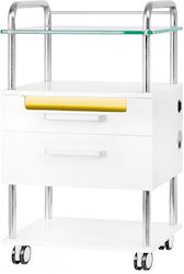 Beauty Roll Hair Salon Maintenance Cart with 2 Drawers