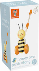 Orange Tree Toys Push