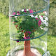 Verdemax 2634 Greenhouse