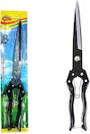 Pruning Shears