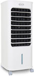 Argo Polifemo Bear Air Air Cooler 65W with Remote Control