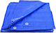 AWTools Wasserdicht Plane 70gr/m² 3x2m. Licht Typ Blau