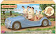 Epoch Toys Classic Sylvanian Families For Age 3+